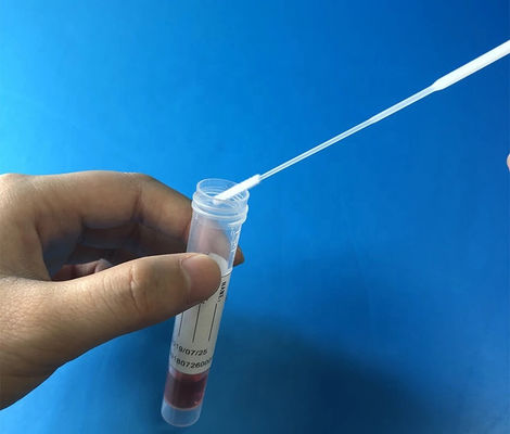 Συγκεντρωμένη DNA δειγμάτων συλλογής πατσαβουρών νάυλον πατσαβούρα 147mm μεταφορών πολιτισμού ινών βακτηριακή